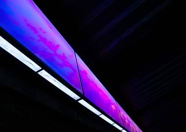 Neon Purple Panels