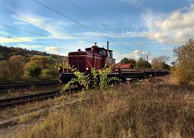 Red Freight Train in Autumn