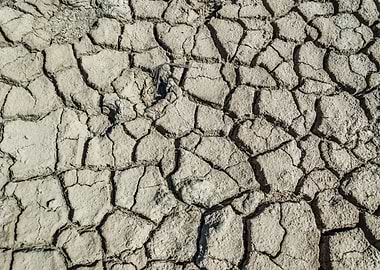 Cracked Earth Texture in Camargue