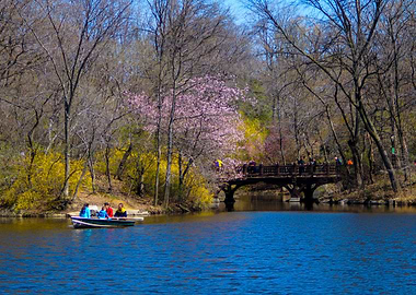 Spring Day at the Central Park Lake, NYC