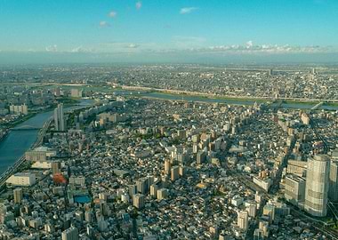 Tokyo Skyline Aerial View