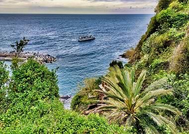 Ocean View with Palm Tree