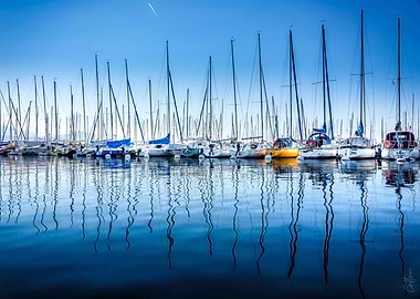Sailboats at Marina