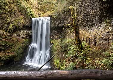 Waterfall in Rocky Forest