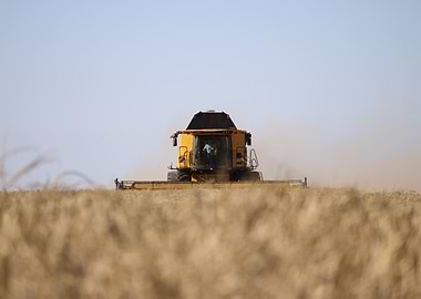 New Holland Combine in the Field
