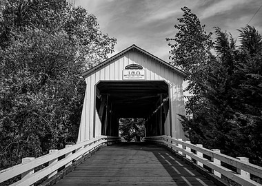 Covered Bridge in Black and White