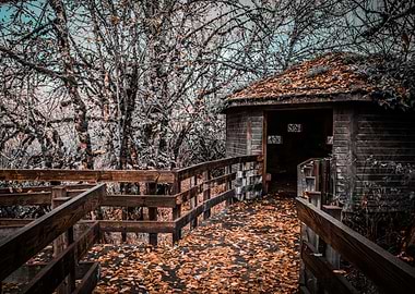 Wooden Autumn Path