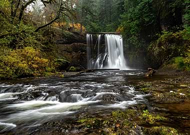 Waterfall in Lush Forest