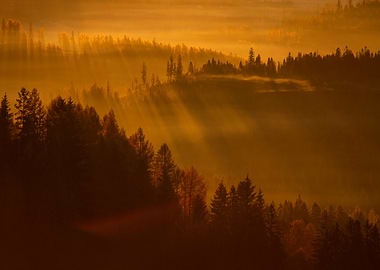 Misty Sunrise Landscape