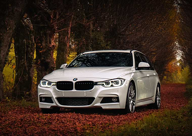 White BMW in Autumn