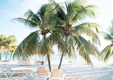 Caribbean Beach Bliss 7