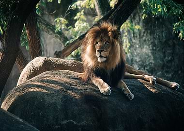 A King at Rest
