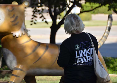 Inspiration of an Artist