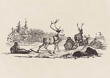 Reindeer Sledding Illustration