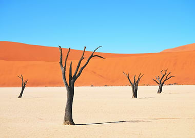 Sossusvlei Desert