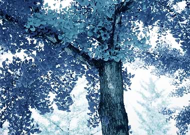 Tranquil Ginkgo Dream 4