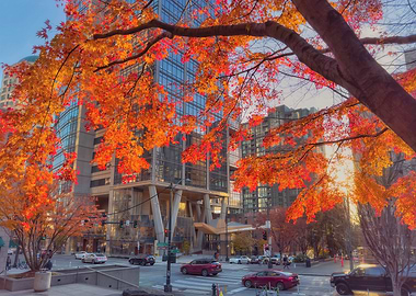 Autumn Cityscape with Red Leaves