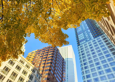 Autumn Seattle with Skyscrapers