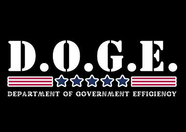 D.O.G.E. Department of Government Efficiency