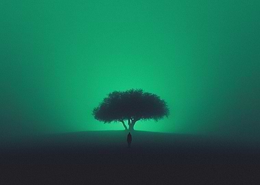 Magical Night with Tree in Fog