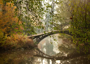 Autumn Bridge