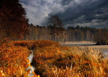 Autumn River Landscape