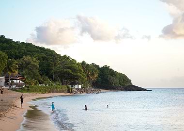 Tropical Beach Scene