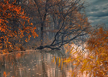 Autumn River Scene