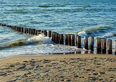 Wooden Breakwater on Sandy Beach