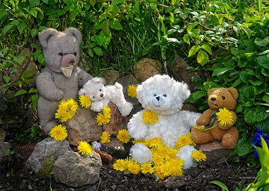 Teddy Bears in a Garden