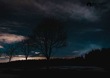 Night Sky with Silhouetted Trees