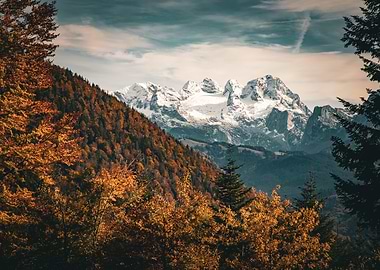 Fall in the Mountains