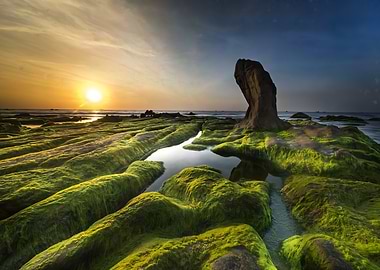 Sunset Coastline with Moss