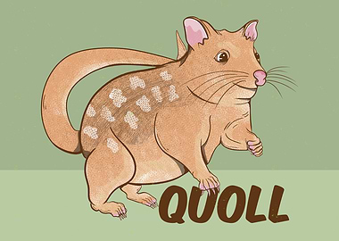 Cute Quoll Illustration