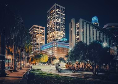 Night Cityscape with Skyscrapers