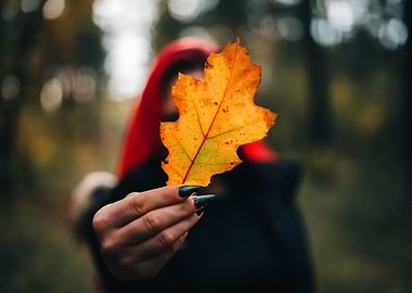 Autumn Leaf in Hand