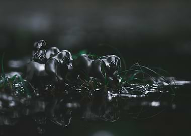 Gorilla Figurines in Water