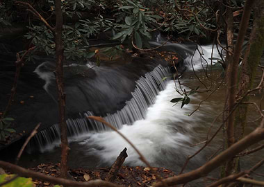 Small Waterfall in Forest