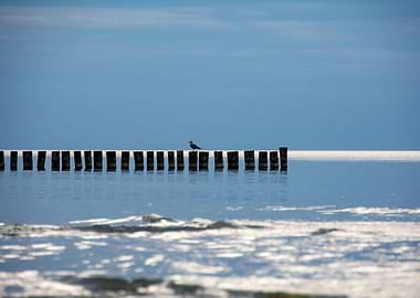 The Silence of the Sea