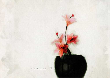 Pink Flowers in Vase