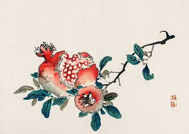 Japanese Pomegranate Painting