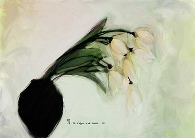 White Flowers in Vase