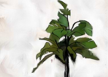 Green Plant on White Background