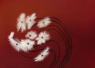 White Flowers on Red