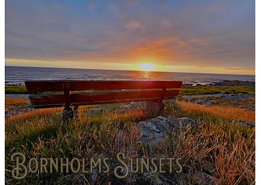 Sunset Bench by the Sea