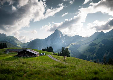 Alpine Cabin Landscape