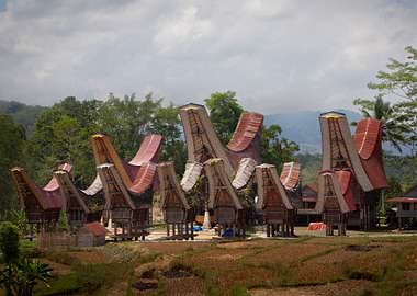 Traditional Torajan Houses