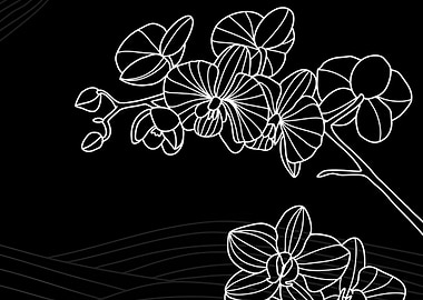 Orchid Line Art