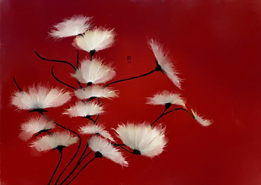 White Flowers on Red