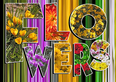 Flowers Collage